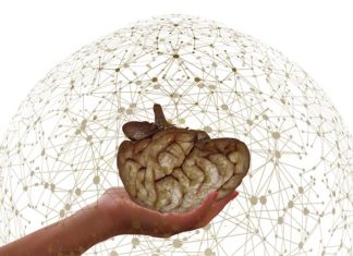 Profețoaia, aurul și italienii